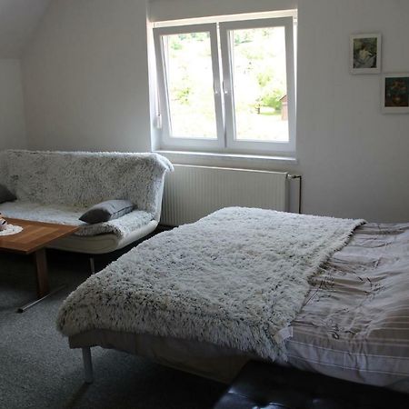 R&G Apartment Zirovnica Kültér fotó