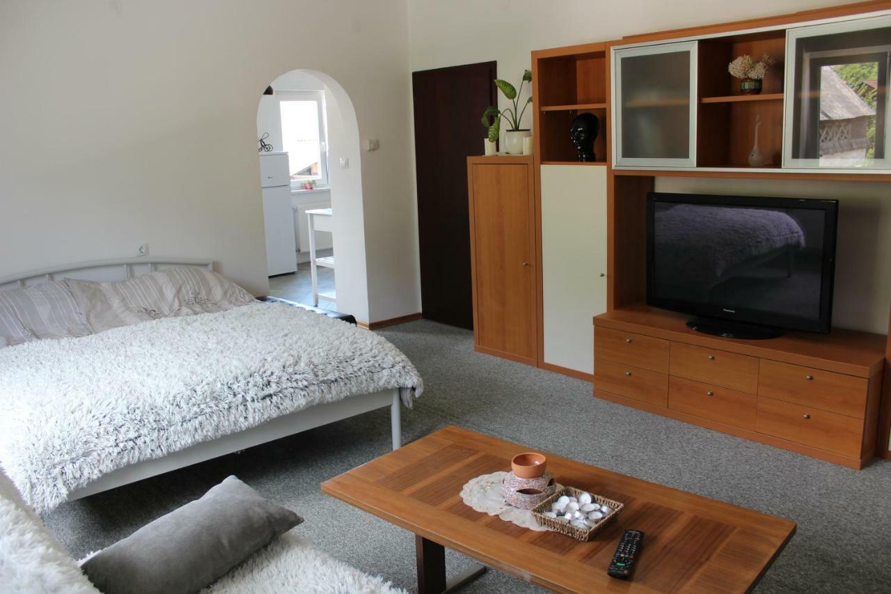 R&G Apartment Zirovnica Kültér fotó